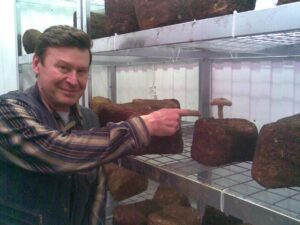 Выращивание шиитаке, Киевская область