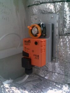 Выращивание шиитаке, Киевская область