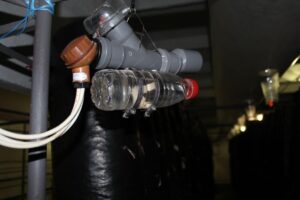 Выращивание вешенки, двухзональная технология, Черкасская область