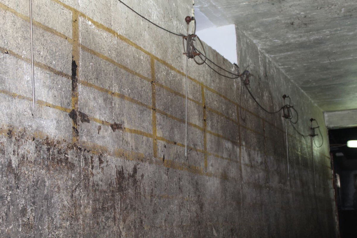 Подготовка компоста (фазы 1, 2, 3) и выращивание шампиньонов, Запорожская область