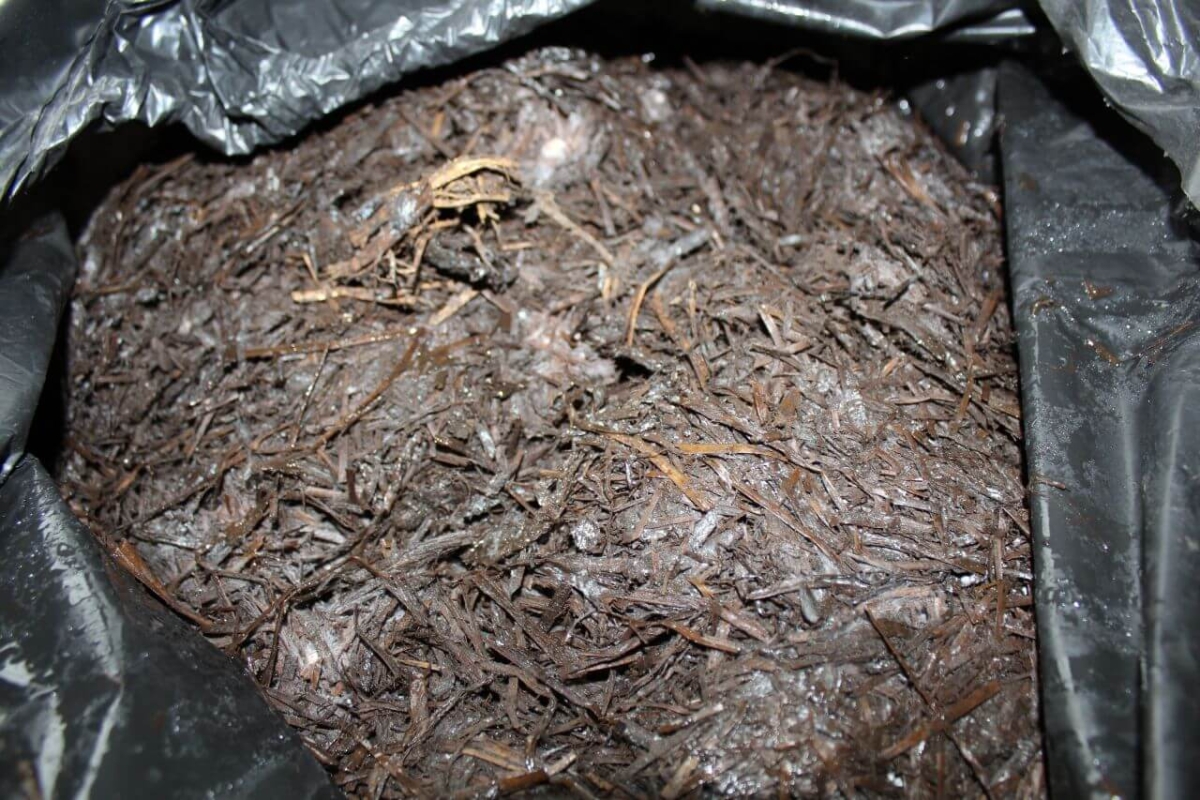 Подготовка компоста (фазы 1, 2, 3) и выращивание шампиньонов, Запорожская область