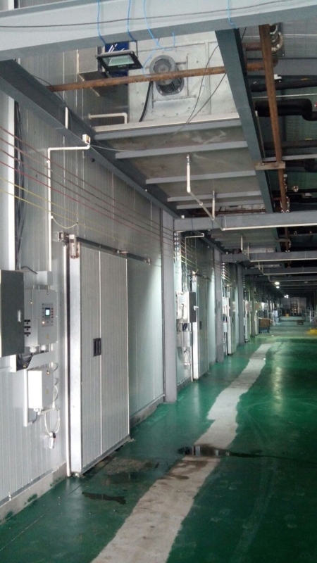 Фазы 1, 2, выращивание шампиньонов, Чжэцзян Китай