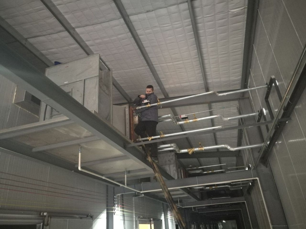 Фазы 1, 2, выращивание шампиньонов, Чжэцзян Китай