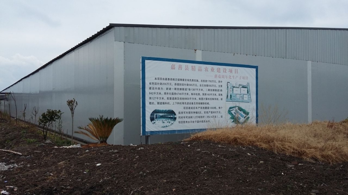 Фази 1, 2, вирощування печериць, Чжецзян Китай