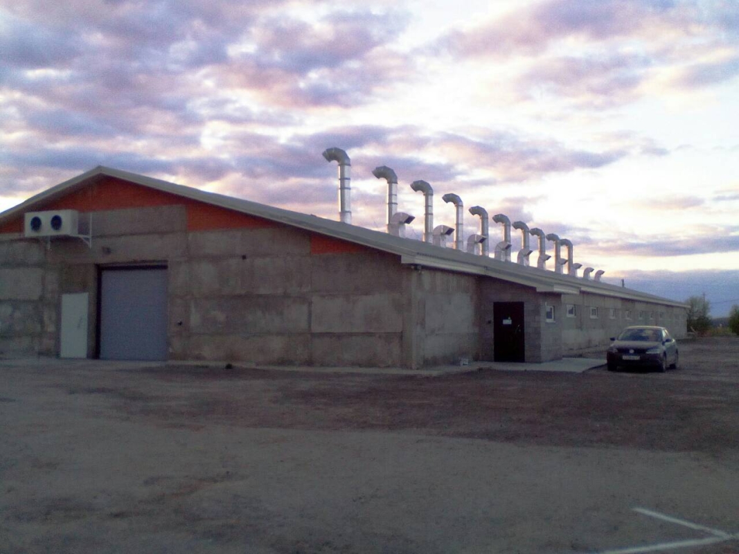 Вирощування гливи