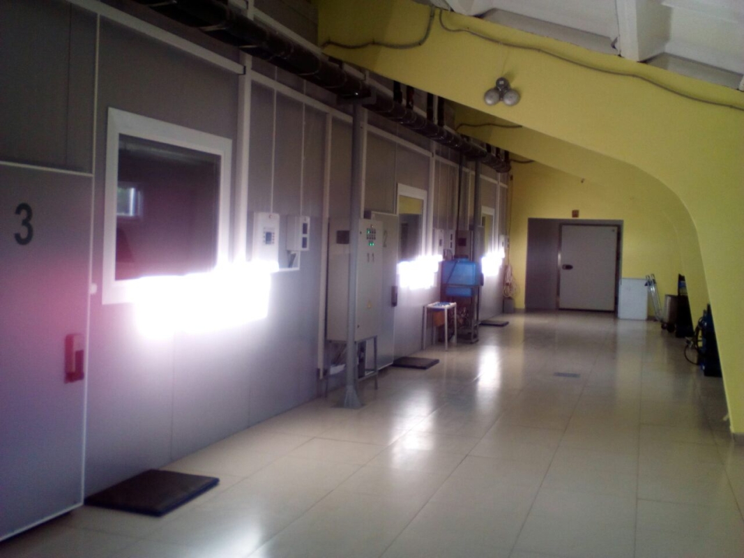 Вирощування гливи