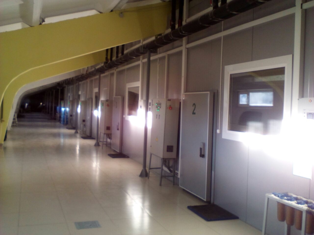 Вирощування гливи