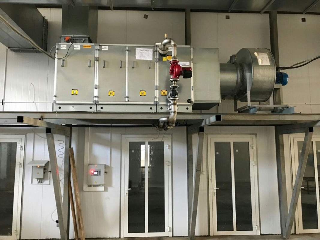 Phase I, II, III & Button Mushroom Growing