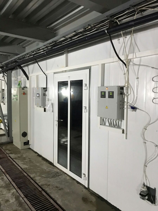 Фаза 1, 2, 3, вирощування печериць