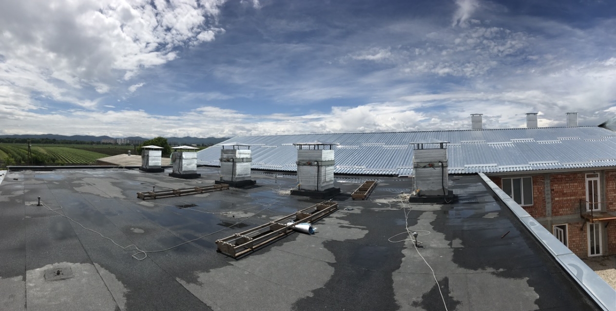 Phase I, II, III & Button Mushroom Growing