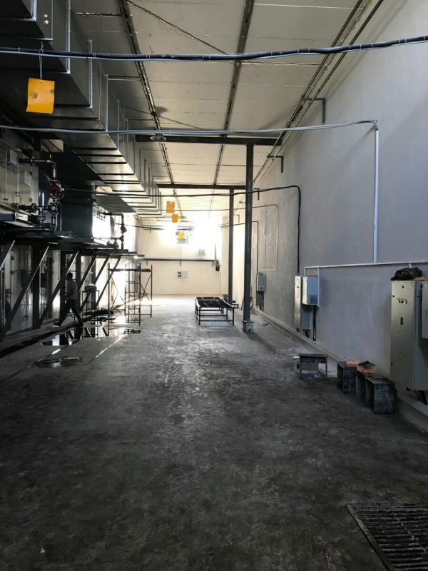 Phase I, II, III & Button Mushroom Growing