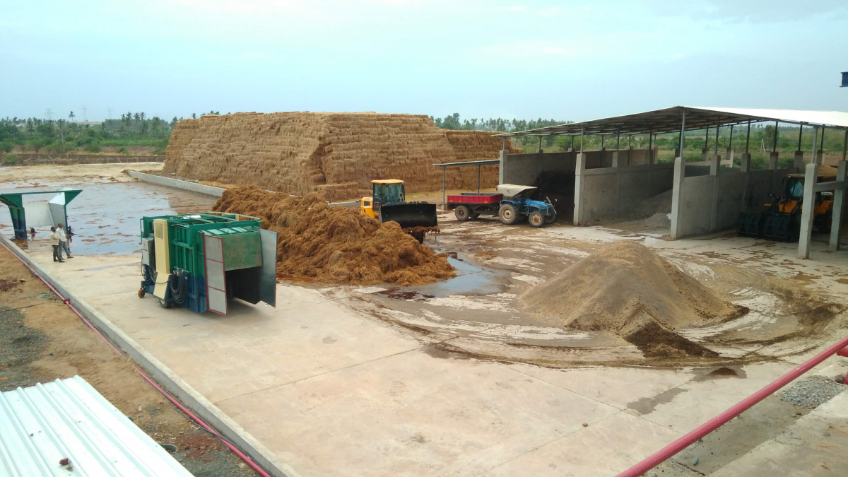 Вирощування печериць, штат Андхра-Прадеш, Індія