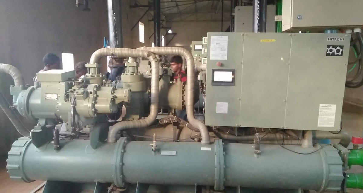 Вирощування печериць, штат Андхра-Прадеш, Індія