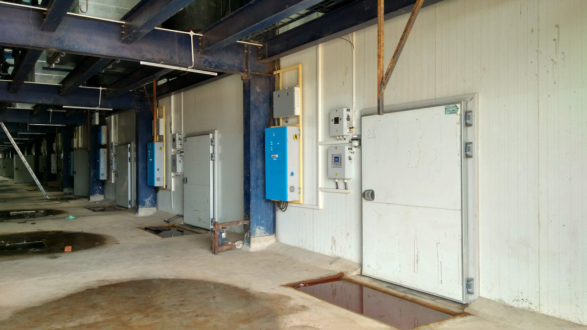 Вирощування печериць, штат Андхра-Прадеш, Індія