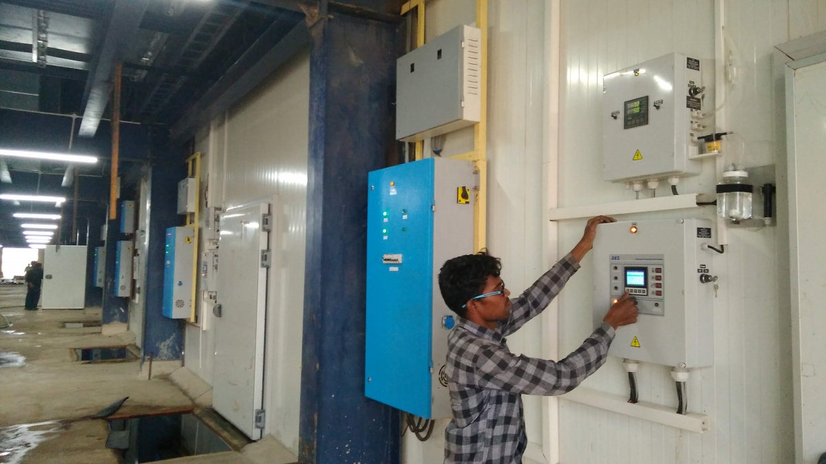 Вирощування печериць, штат Андхра-Прадеш, Індія