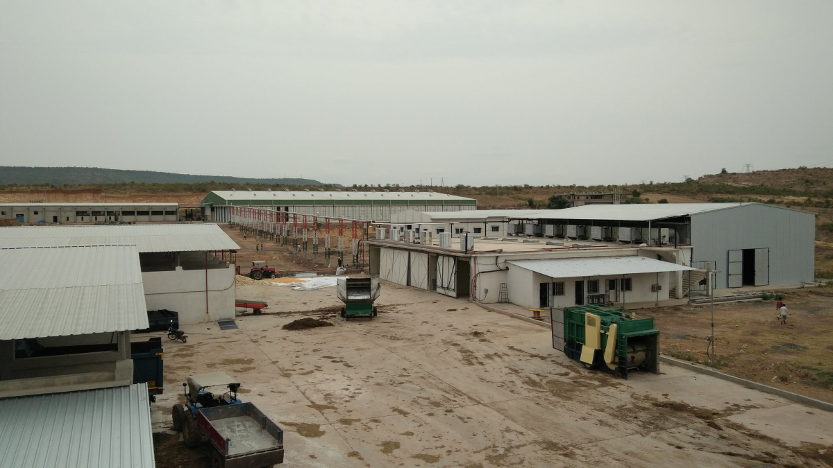 Вирощування печериць, штат Андхра-Прадеш, Індія