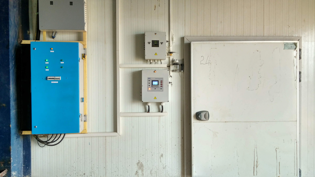 Вирощування печериць, штат Андхра-Прадеш, Індія