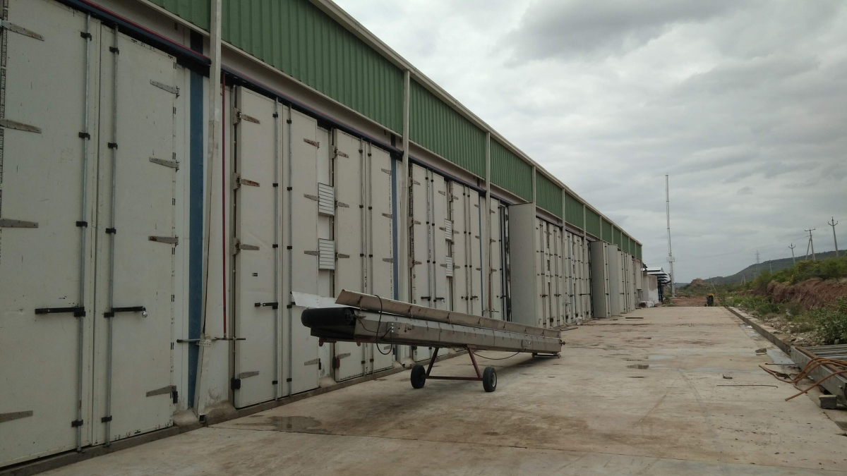 Вирощування печериць, штат Андхра-Прадеш, Індія