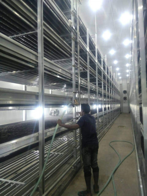 Вирощування печериць, штат Андхра-Прадеш, Індія