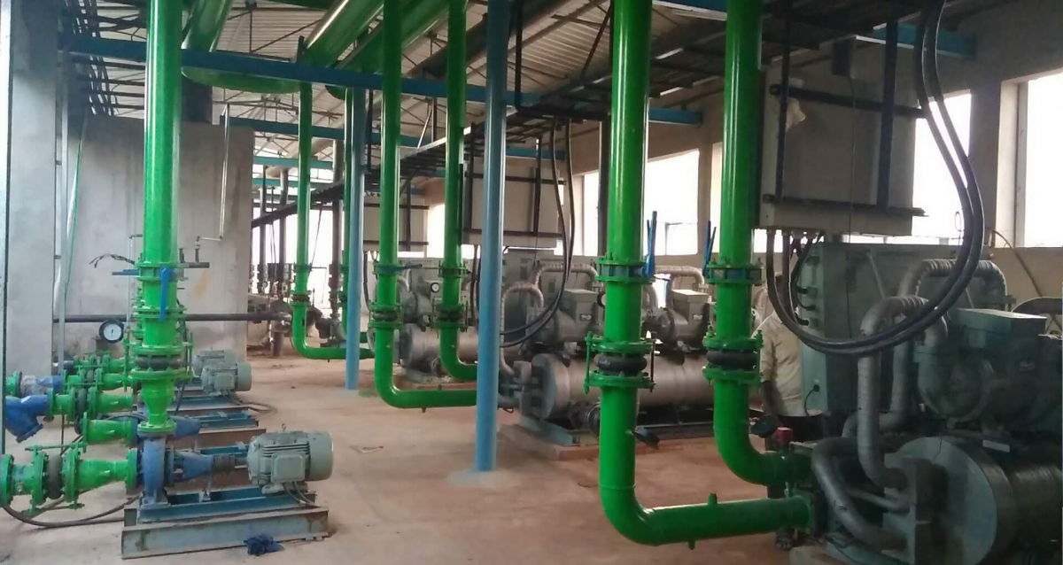 Вирощування печериць, штат Андхра-Прадеш, Індія