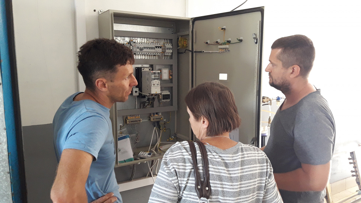 Вирощування печериць, Київська область