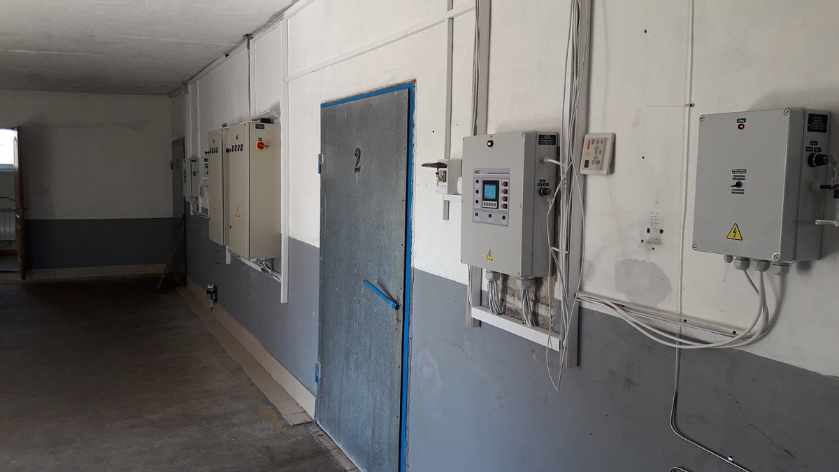 Button Mushroom Cultivation, Ukraine