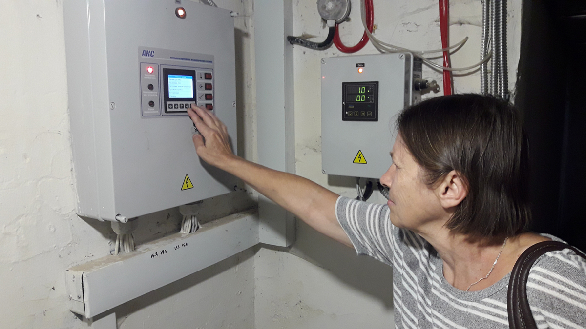 Вирощування гливи, Київська область