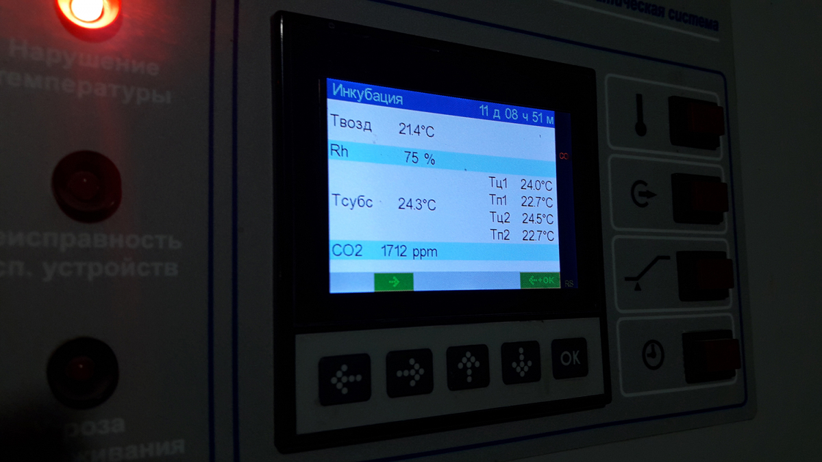 Вирощування гливи, Київська область