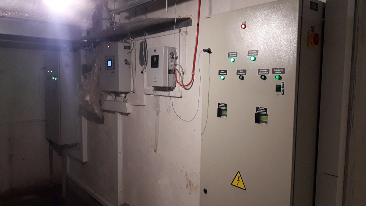 Вирощування гливи, Київська область