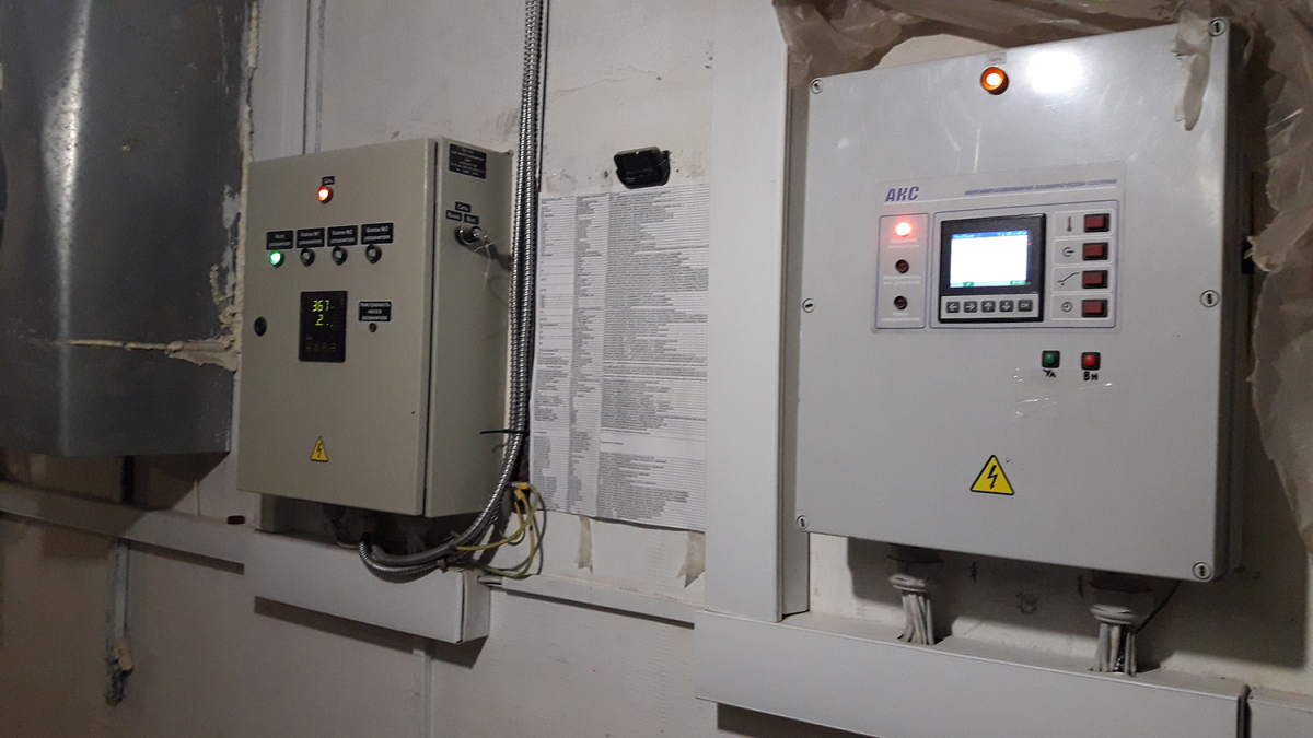 Вирощування гливи, Київська область