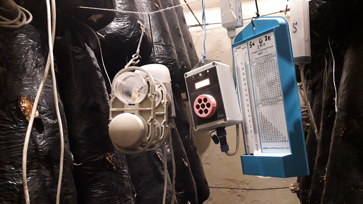 Oyster Mushroom Cultivation